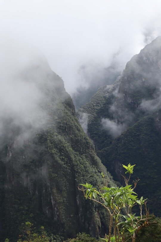 Salkantay