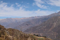 Colca canyon