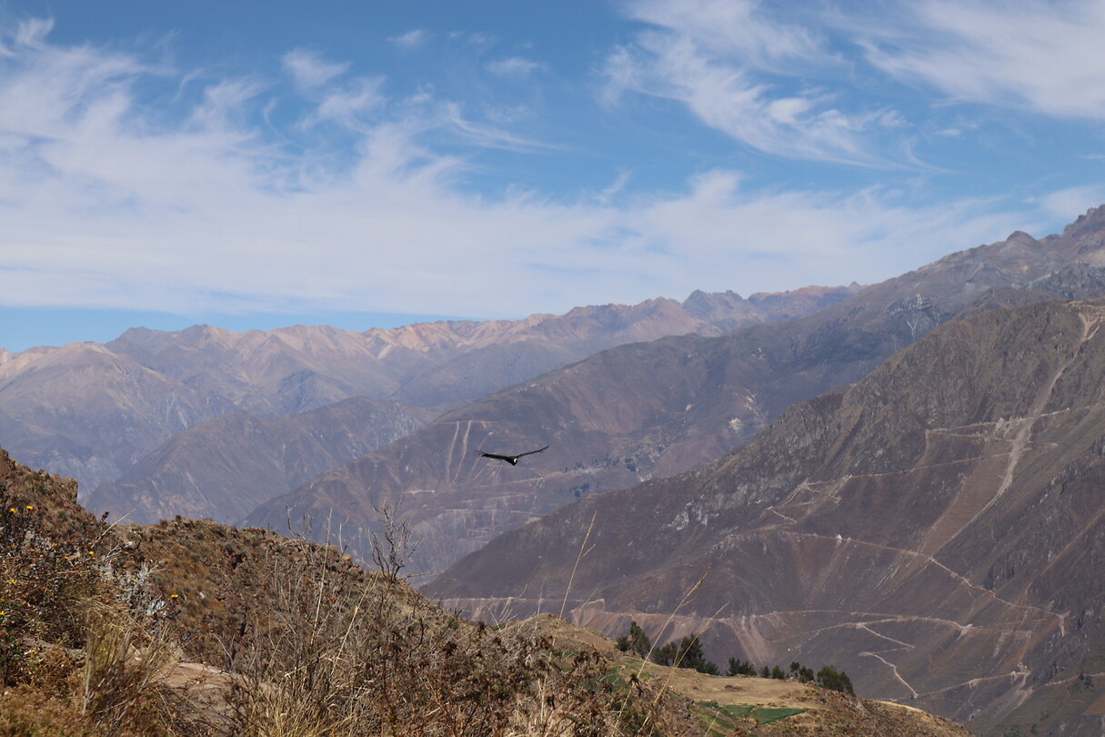 Colca canyon