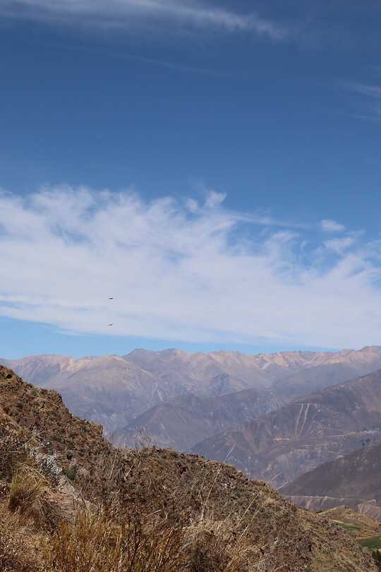 Colca canyon