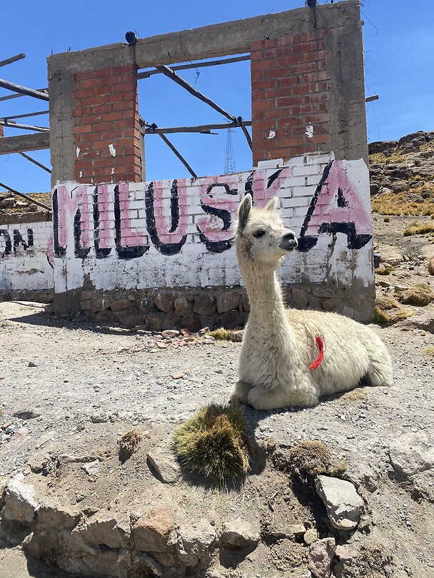 Colca canyon