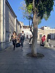 Arequipa