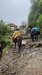 Salkantay