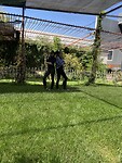 Tupiza