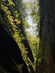 Santa Cruz