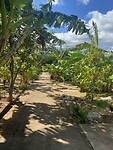 Hawaii