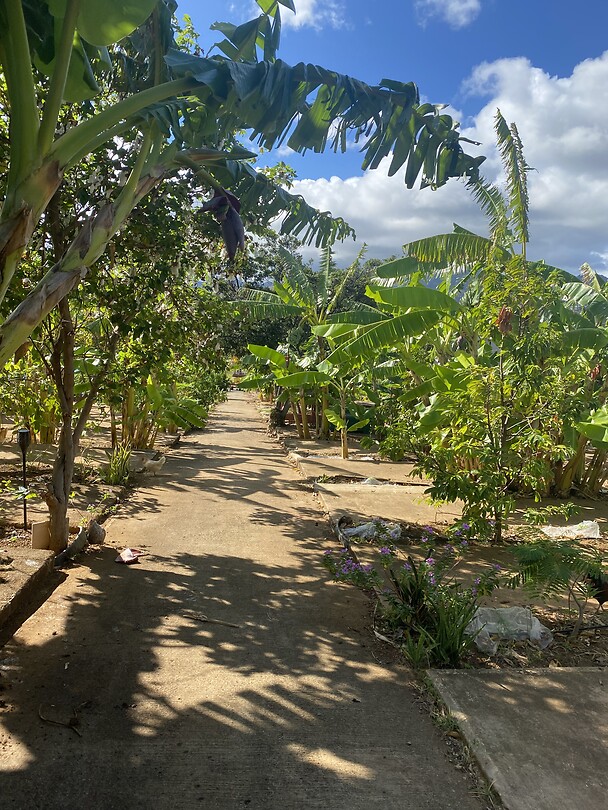 Hawaii