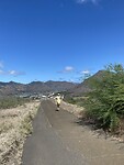 Hawaii