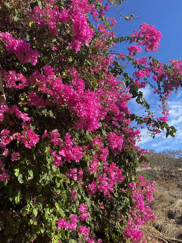 Hawaii