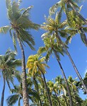 Hawaii