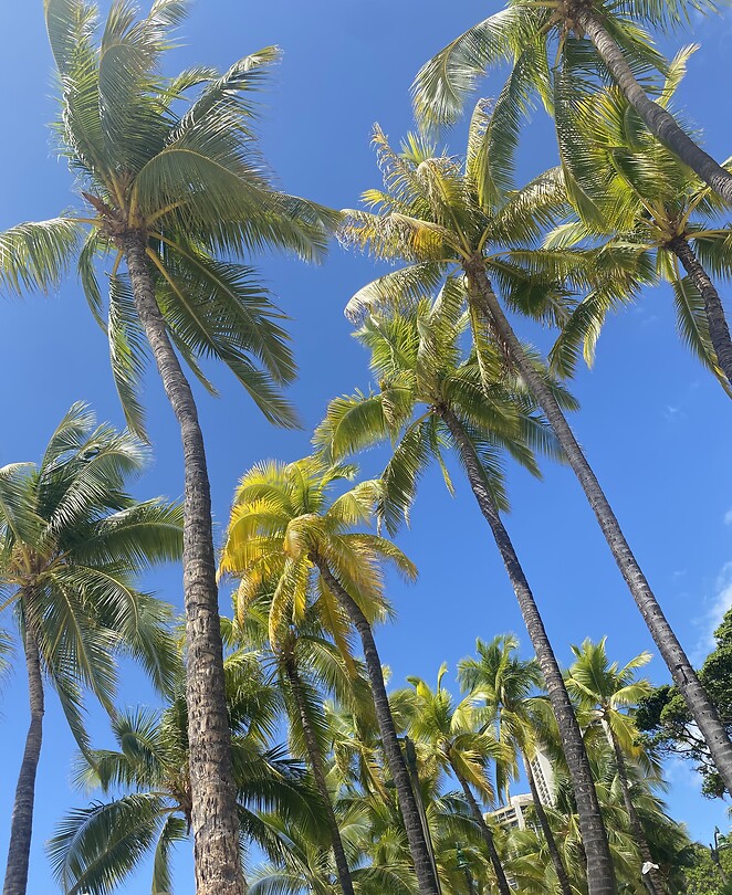 Hawaii