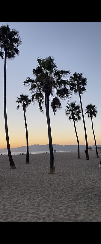 Los Angeles