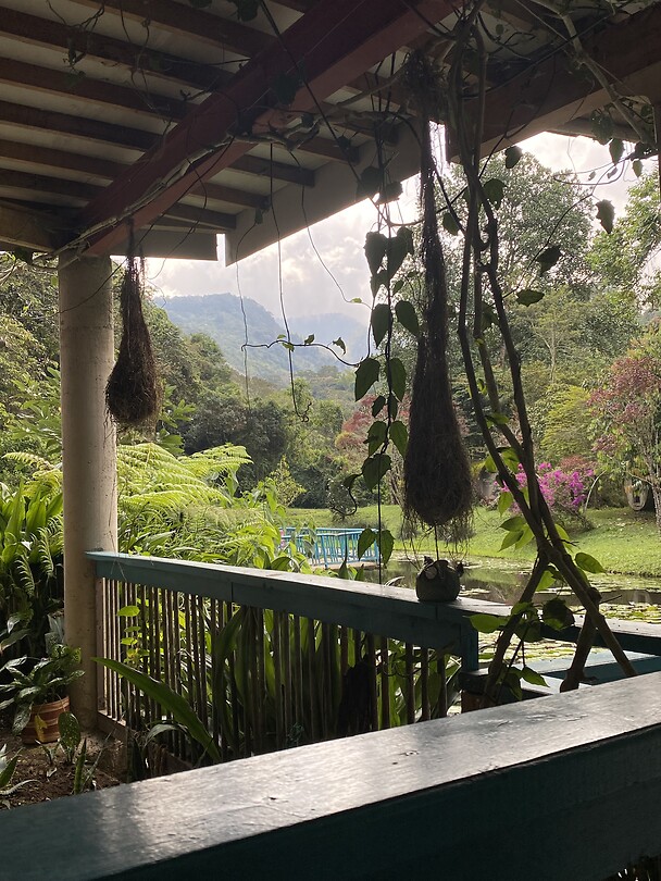 Jardin