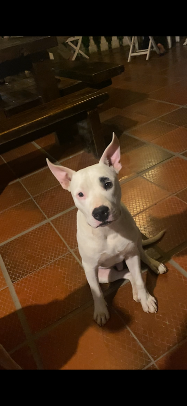 Minca