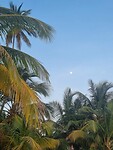 San Blas