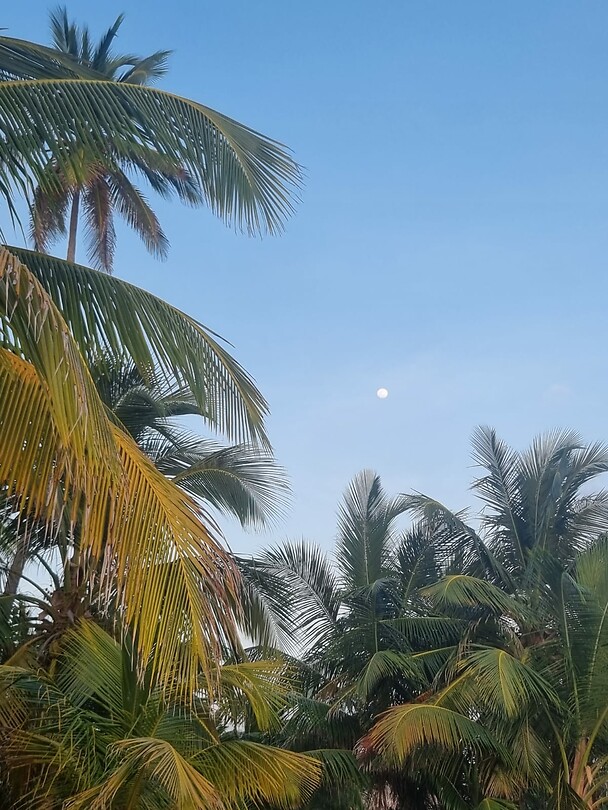 San Blas