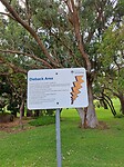 010423_Wandeling naar Duncraig_Jackie and Phil-03