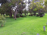 010423_Wandeling naar Duncraig_Jackie and Phil-02