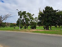 010423_Wandeling naar Duncraig_Jackie and Phil-01