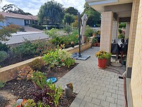 040423_THUIS_tuin