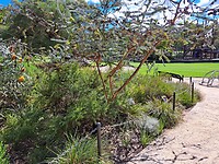 040423_KINGS PARK_DNA TOWER-13