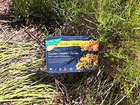 040423_KINGS PARK_DNA TOWER-15
