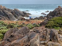 IMG-20230413-WA0014