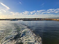 230423_HILLARY'S HARBOUR_FERRY-04