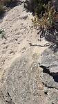 230423_Rottnest Island trail