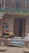 20170115_114951