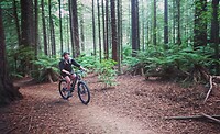 Mountainbiken in Red Woods