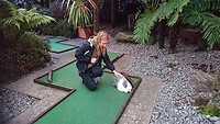 Rabbit Mini Golf