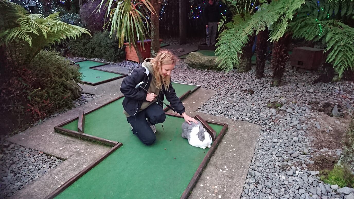 Rabbit Mini Golf
