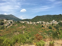 Campi