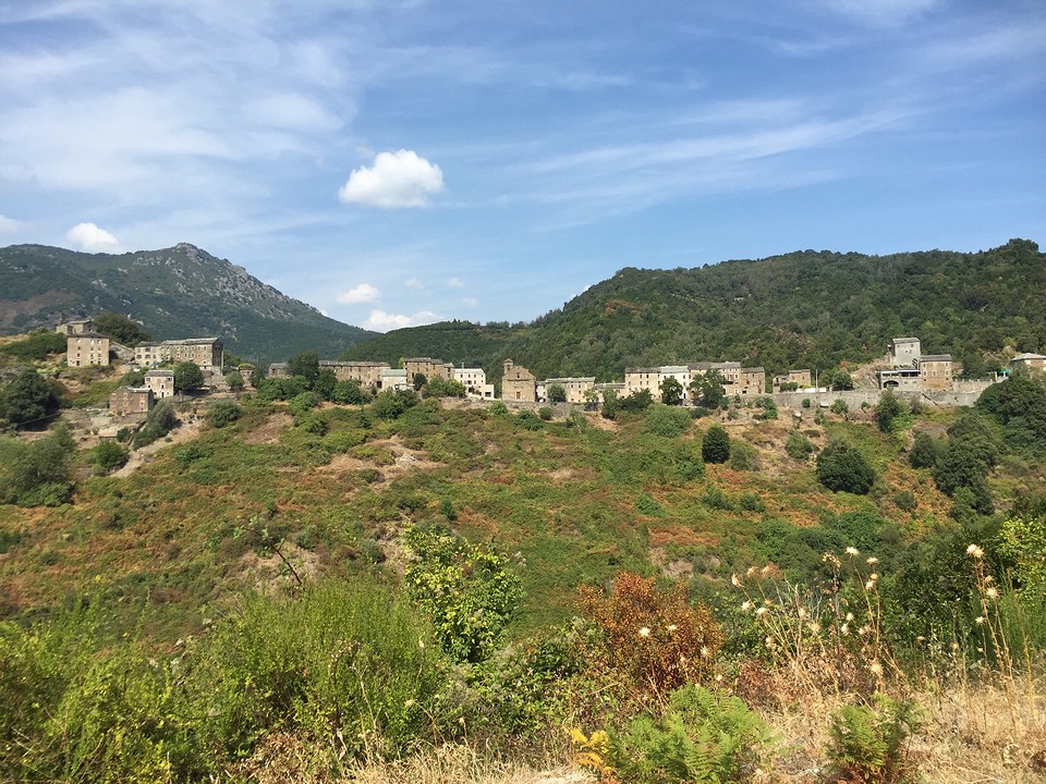 Campi