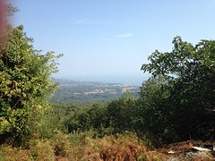 A view