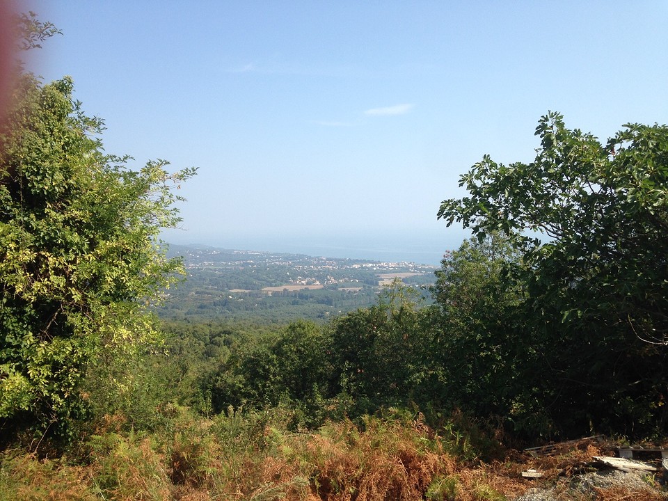 A view