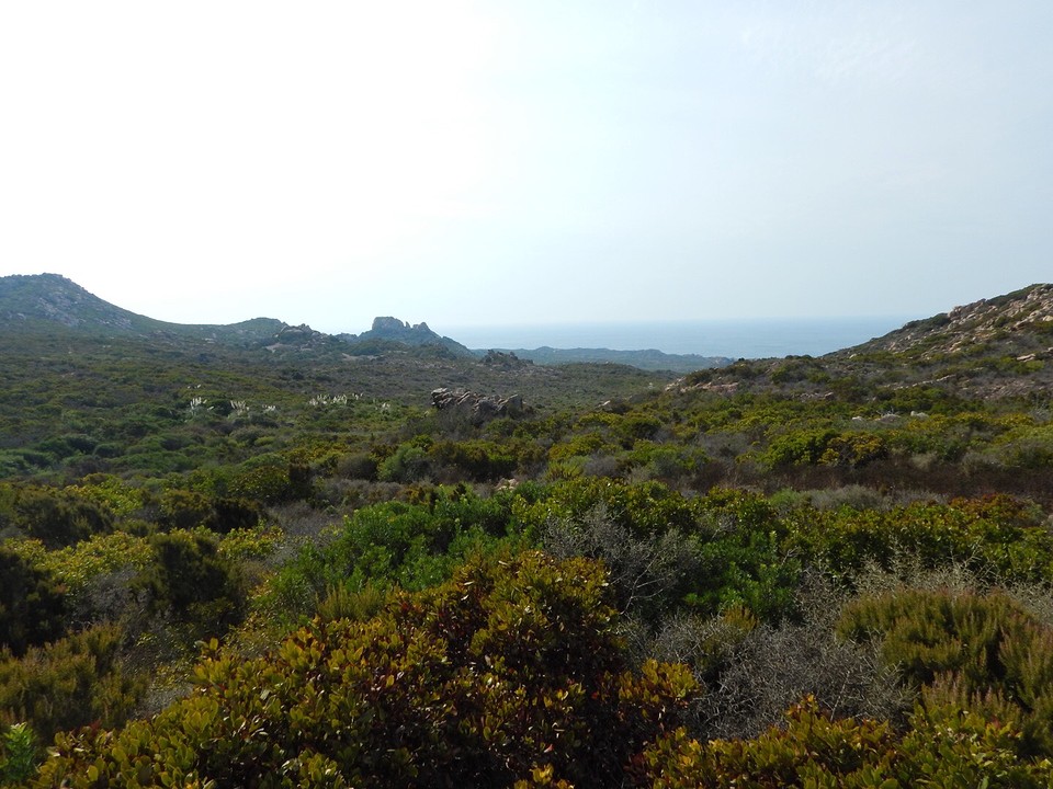Kust westen