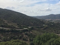 Kronkelende slangenweg