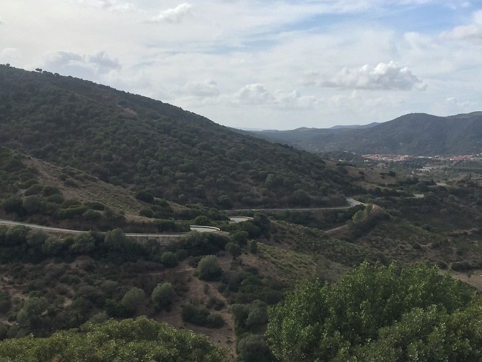 Kronkelende slangenweg