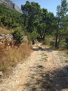 Wandelen