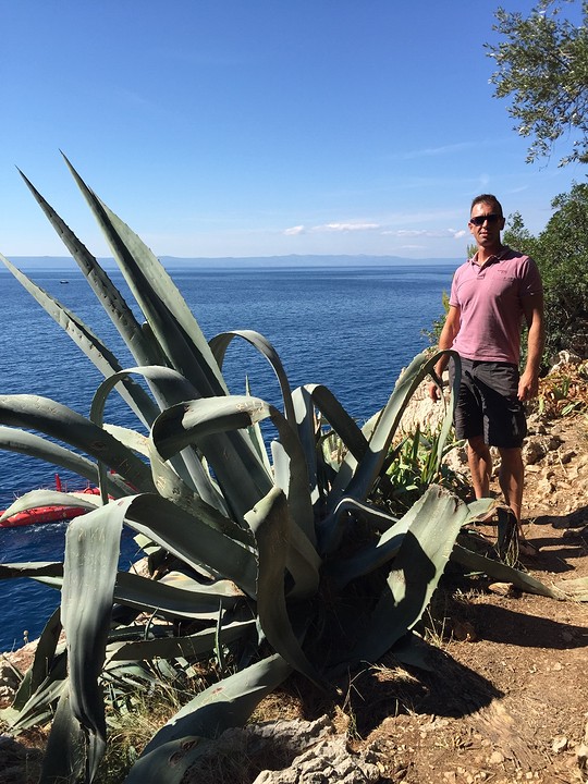Mol & agave