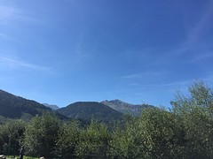 Oostenrijkse groene bergen