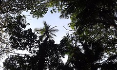 20160202_114206