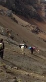 4-daagse trek 3