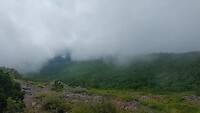 Uitzicht vanaf de top van mijn day hike in week 1