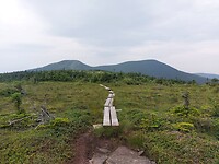 20230727_075506
