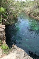 Cenote escondido