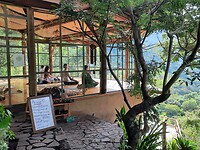 yoga in the forrest @ San Marcos