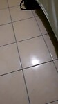 mosquitos no son amigos